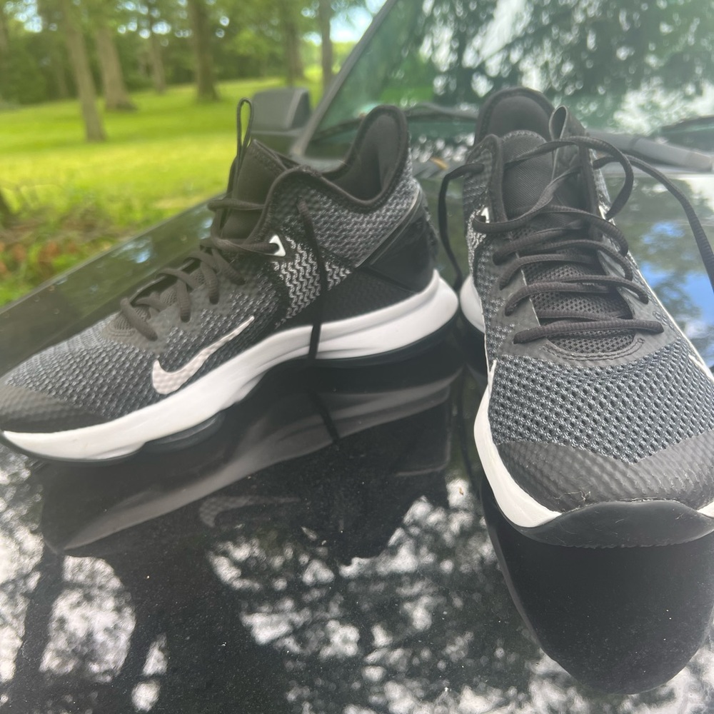 LeBron IV shoes